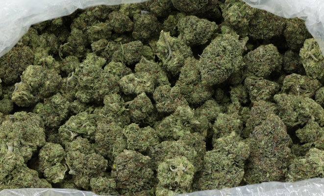 Purchase MJ Flower